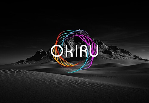 Okir Employment Equity Strategy